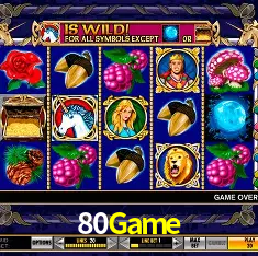 80Game Rio de Janeiro - Bonus Terms